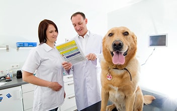 tierkrankenversicherung_352x220_2021_11 tierkrankenversicherung_352x220_2021_11