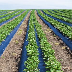 Unterstuetzungskasse_300x300_2020_11 Unterstuetzungskasse_300x300_2020_11