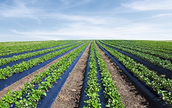 unterstuetzungskasse_352x220_2021_11 unterstuetzungskasse_352x220_2021_11