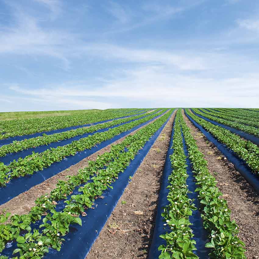 unterstuetzungskasse_850x850_2021_03