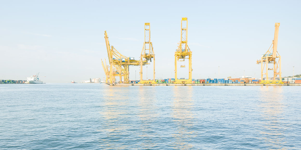 International Programs