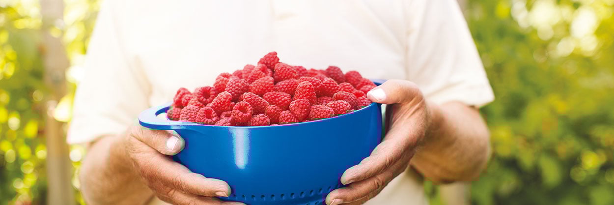 Header Kundenorientierung Schuessel mit Himbeeren