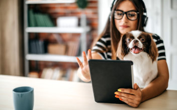 Frau mit Hund benutzt ihren Laptop