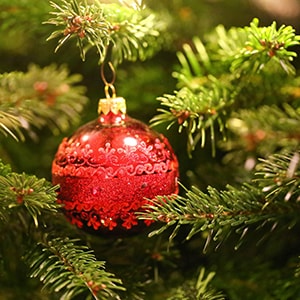weihnachtsbaum_300x300_2021_11