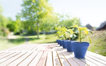 betriebliche-altersvorsorge_352x220_2022_01