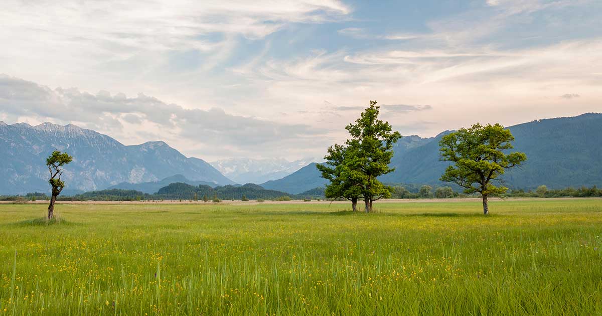 moorlandschaft_1200x630_2021_10 moorlandschaft_1200x630_2021_10