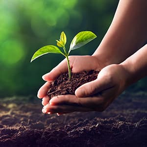 nachhaltig-investieren_300x300_2020_11 nachhaltig-investieren_300x300_2020_11