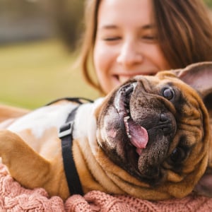 hundehalterhaftpflicht_300x300_2020_11 hundehalterhaftpflicht_300x300_2020_11